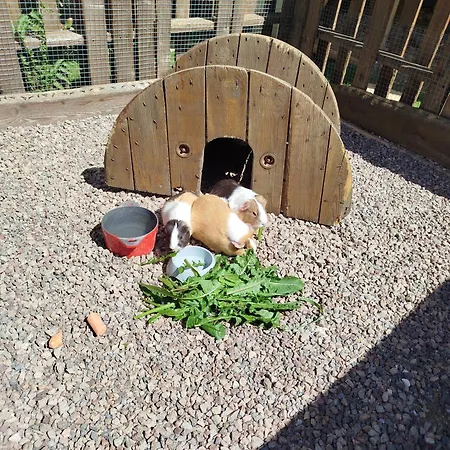 Apartment Le Paon De Bois Avec Bain Nordique Saint-Mards-en-Othe