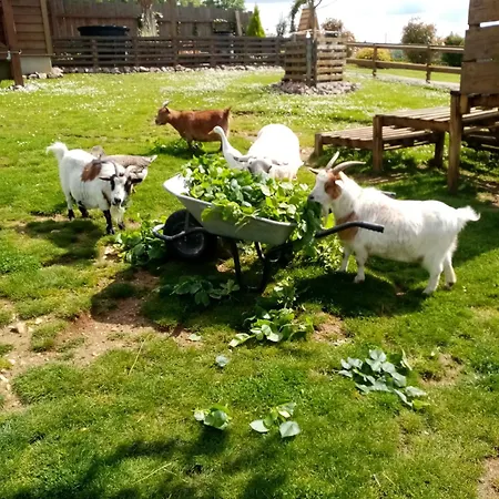 Apartment Le Paon De Bois Avec Bain Nordique Saint-Mards-en-Othe