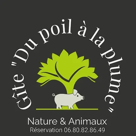 Le Paon De Bois Avec Bain Nordique Saint-Mards-en-Othe